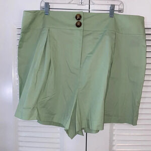 Fashion to Figure high waisted shorts